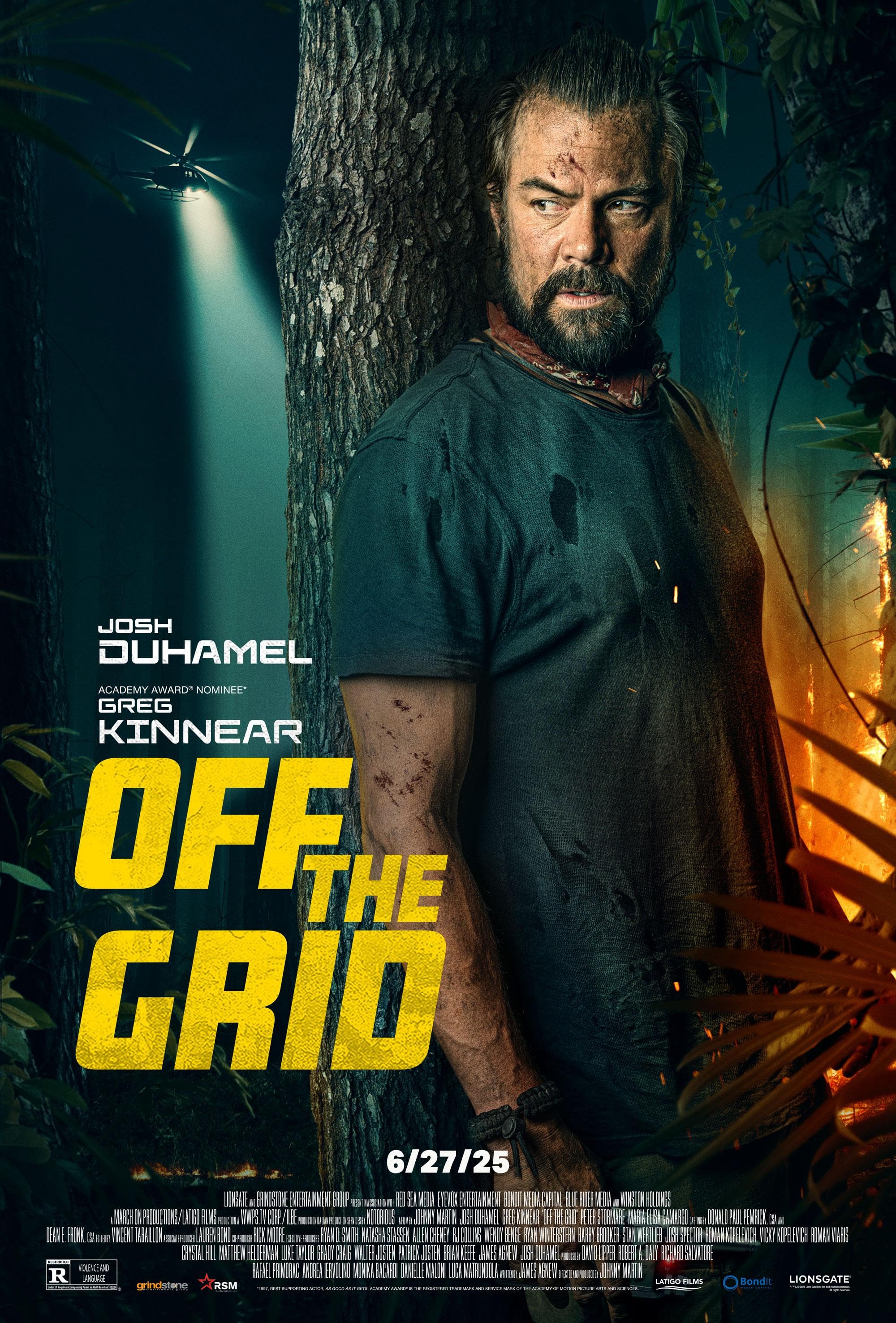 poster image